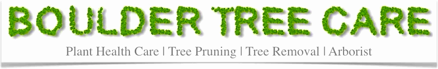 Tree Service by Boulder Tree Care