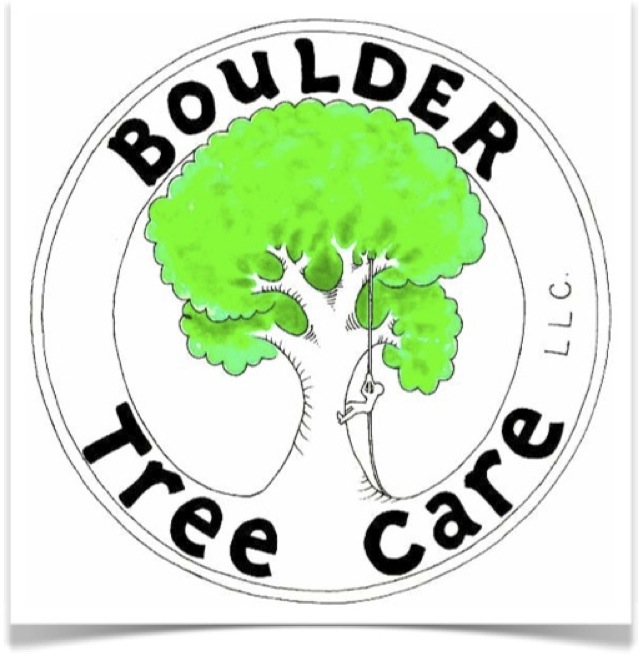 Tree Service Boulder Co