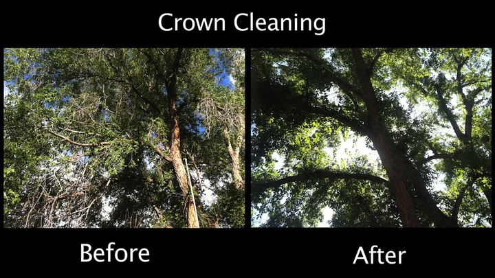 Crown Cleaning 
