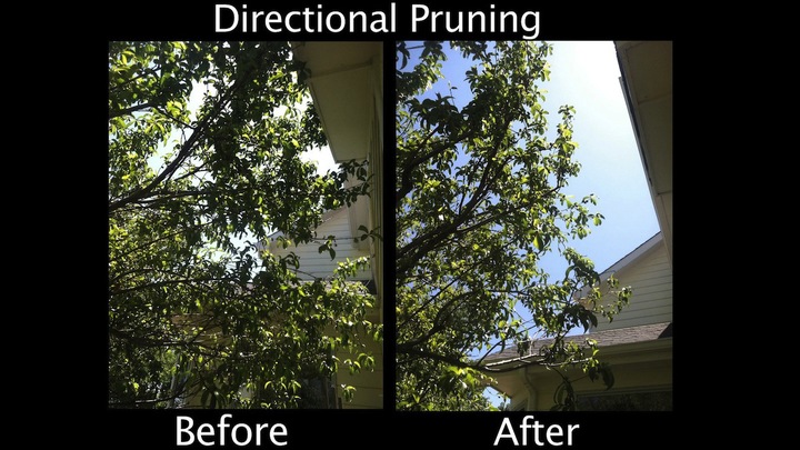 Directional Pruning 