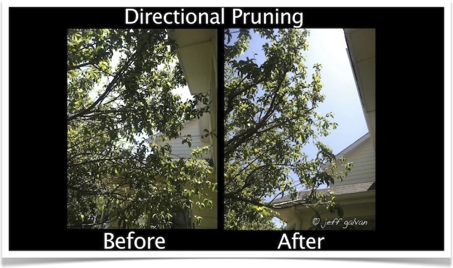 Directional Pruning